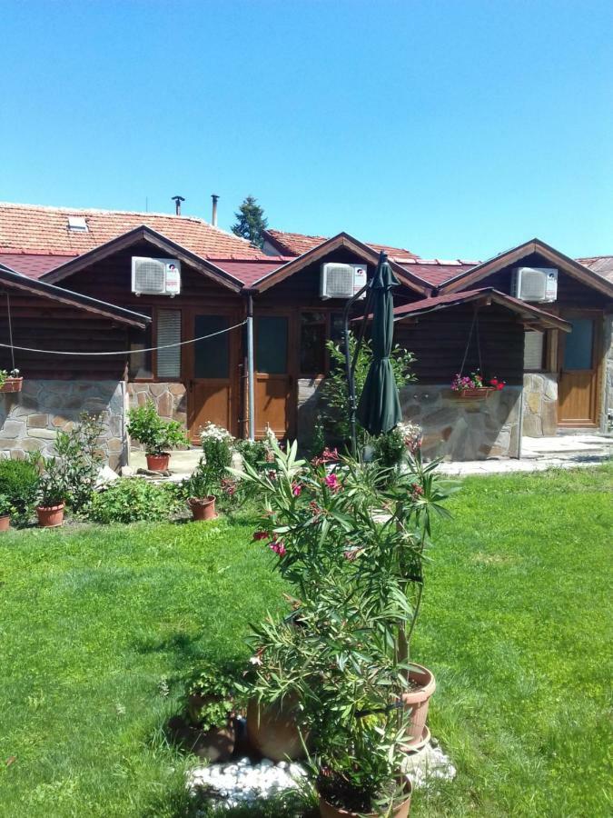 Къща Момина Сълза Hotel Sapareva Banya Exterior photo
